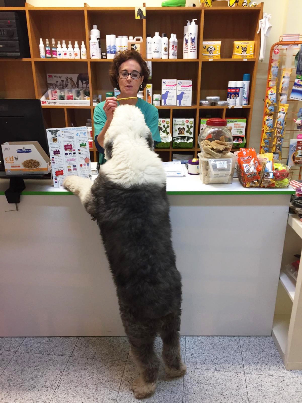 venta productos salud mascotas